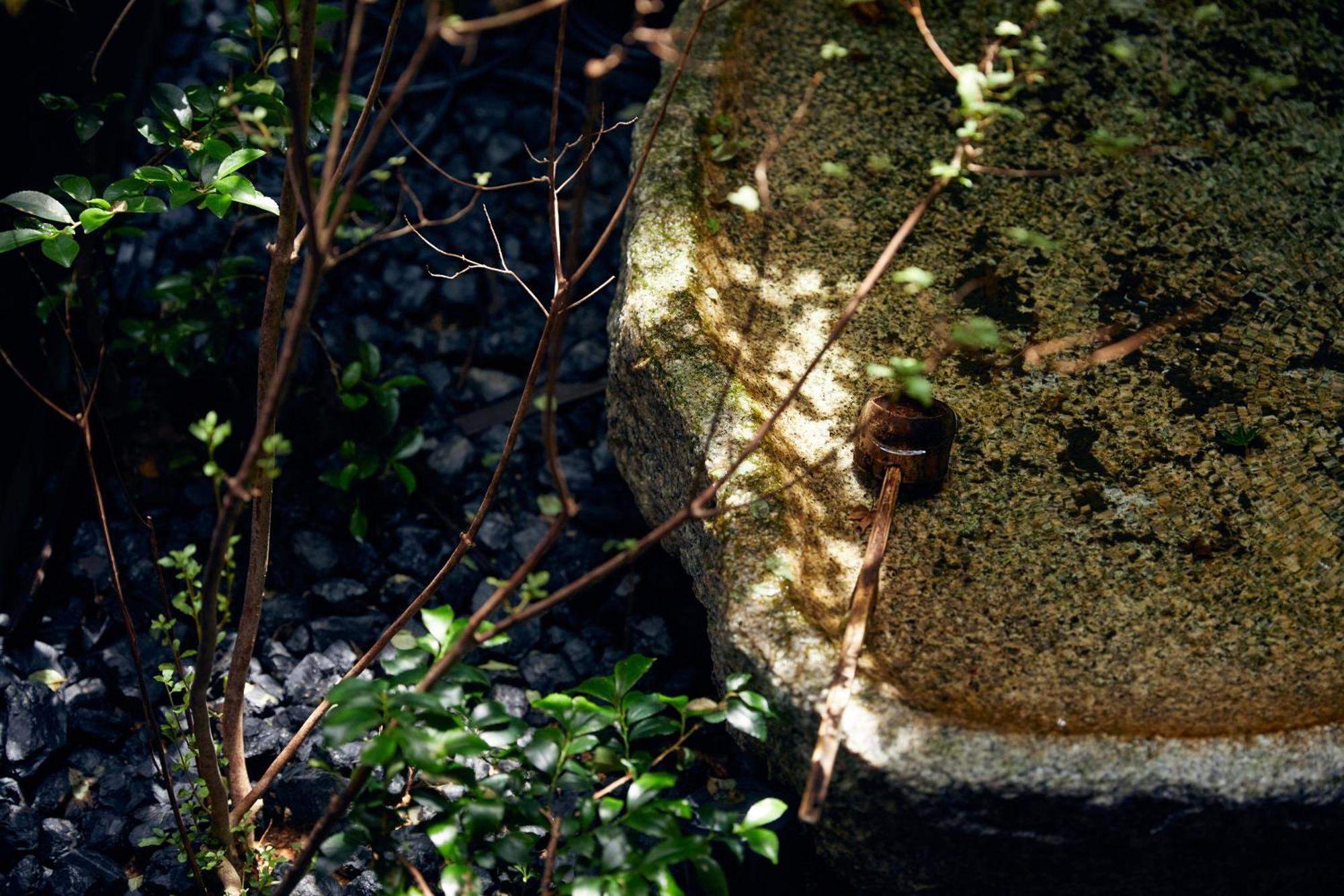 Yadoru Kyoto Hanare Mizunoe No Yado Exterior photo